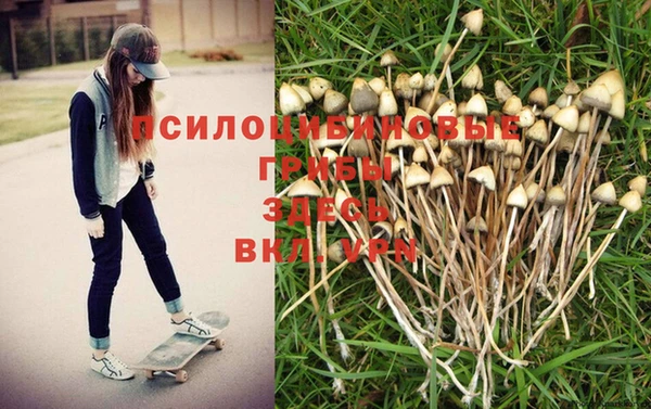амф Алзамай