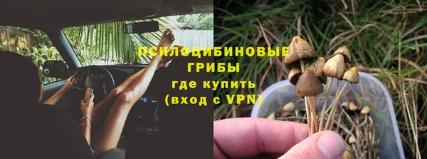 прущие крисы Алексин